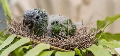 fe what we do thumbnail 03.jpg