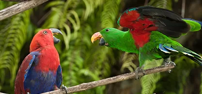 fe what we do thumbnail 07.jpg