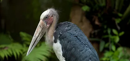 fe what we do thumbnail 12.jpg