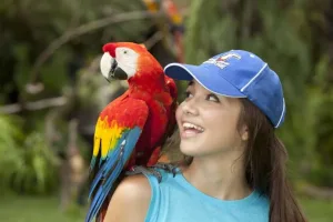 Header Bali Bird Park result