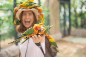 Birdwatching Indonesia result