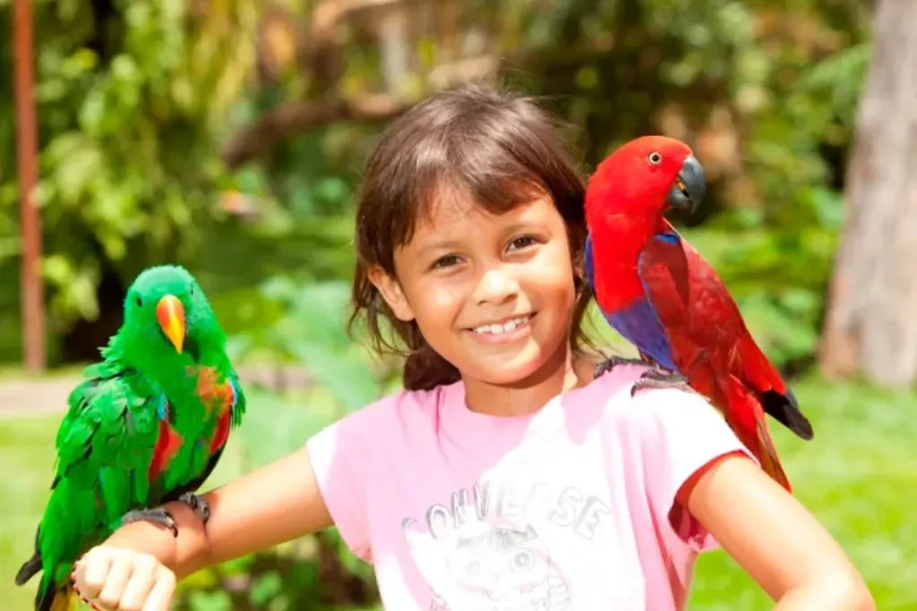 Bali Bird Park Birdventure result