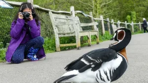 Bali Bird Park result